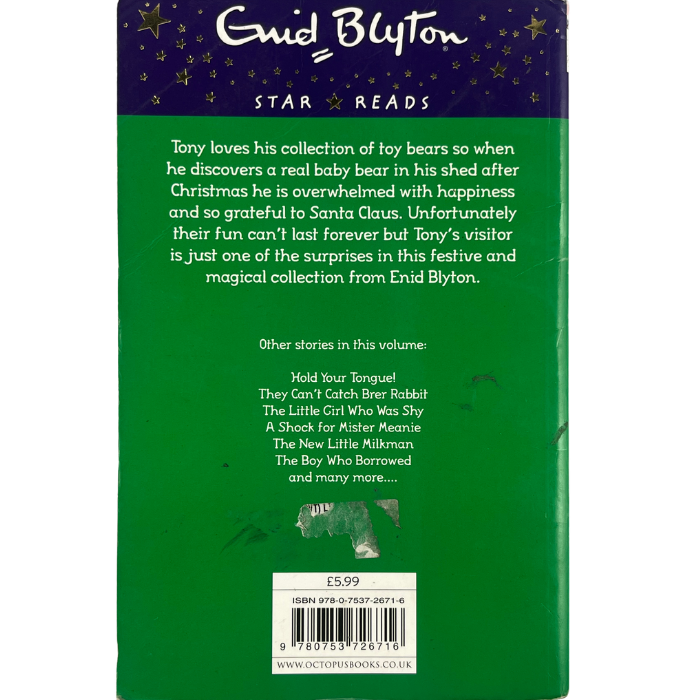 The Little Brown Bear (Enid Blyton: Star Reads Series 4)