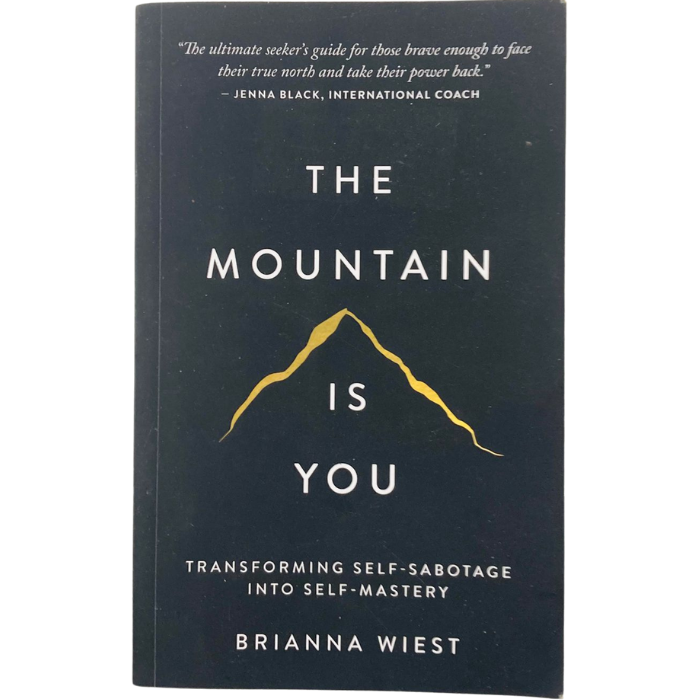 The Mountain Is You: Transforming Self-Sabotage Into Self-Mastery