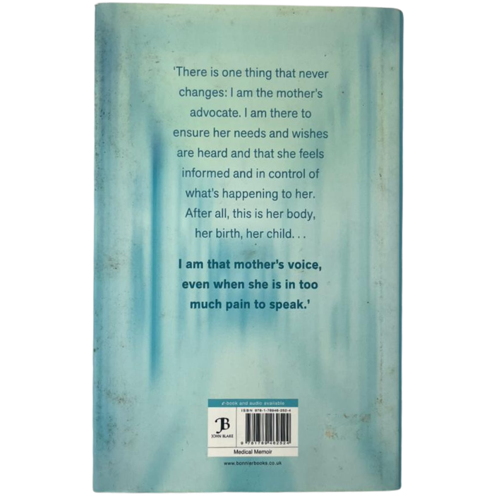 The Secret Midwife: Life  Death and the Truth about Birth