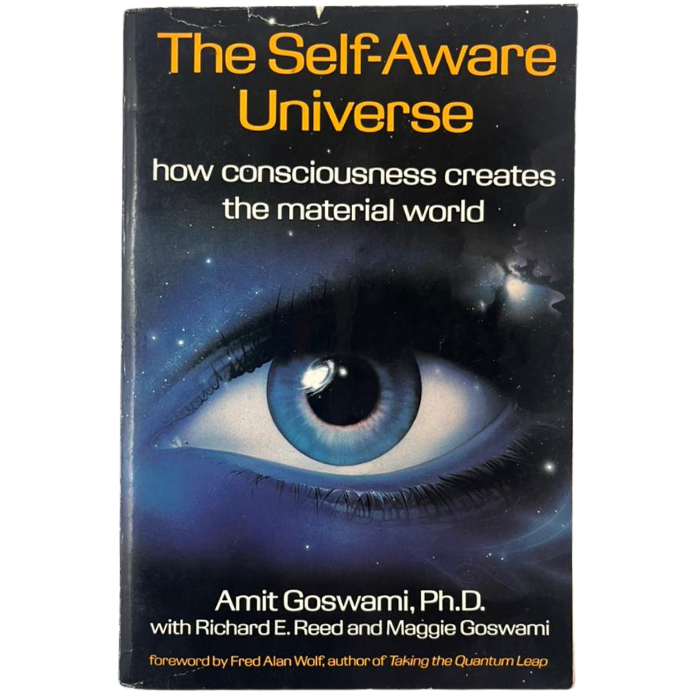 The Self-Aware Universe