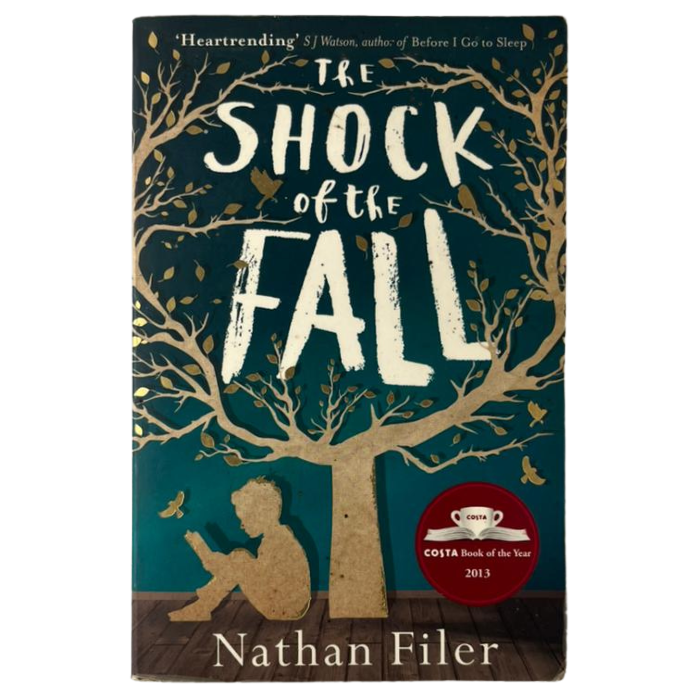 The Shock of the Fall