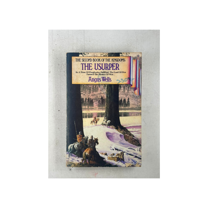 The Usurper (The Kingdoms Book 2)