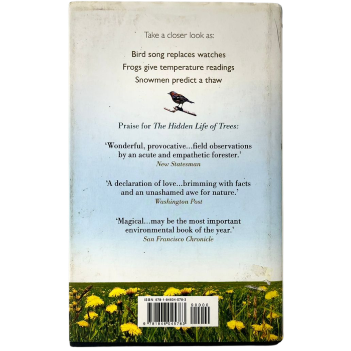 The Weather Detective: Rediscovering Nature's Secret Signs